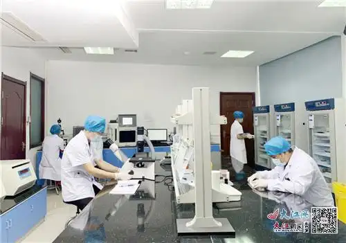 科研创新铸就品牌建设——走近九江市中医医院肾科党