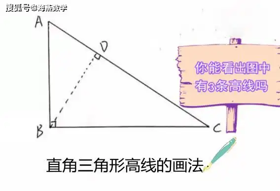 直角三角形高线的画法图形中其实有3条高哦,一条是已经标明的虚线