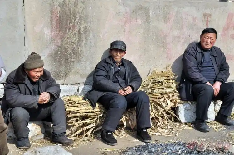 农村的生活比城里好,如果农村人都回家了,那城里是什么样呢