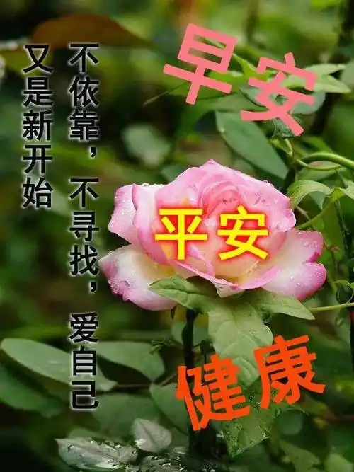 原创7张夏日创意唯美早上好祝福语图片大全免打字2021夏日清晨早安