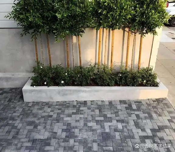 靠墙边,适合做"单一直线型"花池,易打理,又大气!