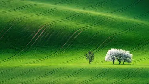 首页 自然与风景 春天
