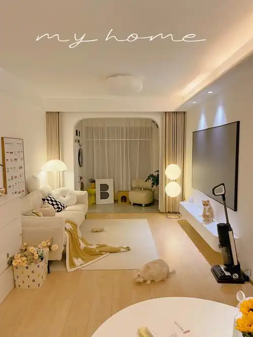 55平原木风小家,1人2猫,也可以干净清爽93