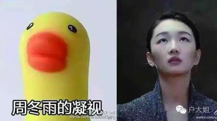 周冬雨的表情包都被粉丝们玩坏了, 竟还有人拿着小黄鸭去机场接机