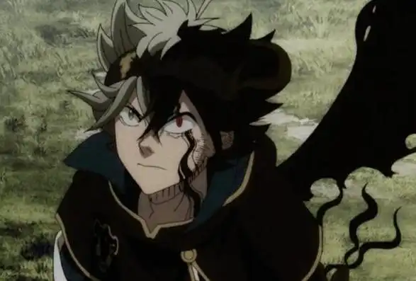 如果你是一名热爱日本漫画的读者,那么你一定不会错过《黑色五叶草》