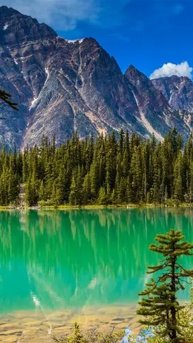 山,树,湖,自然景观 iphone 壁纸