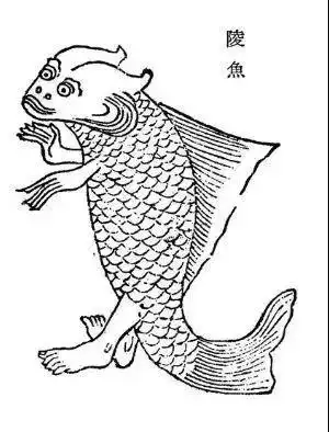 鱼人简笔画魔兽世界鱼人简笔画lol小鱼人简笔画