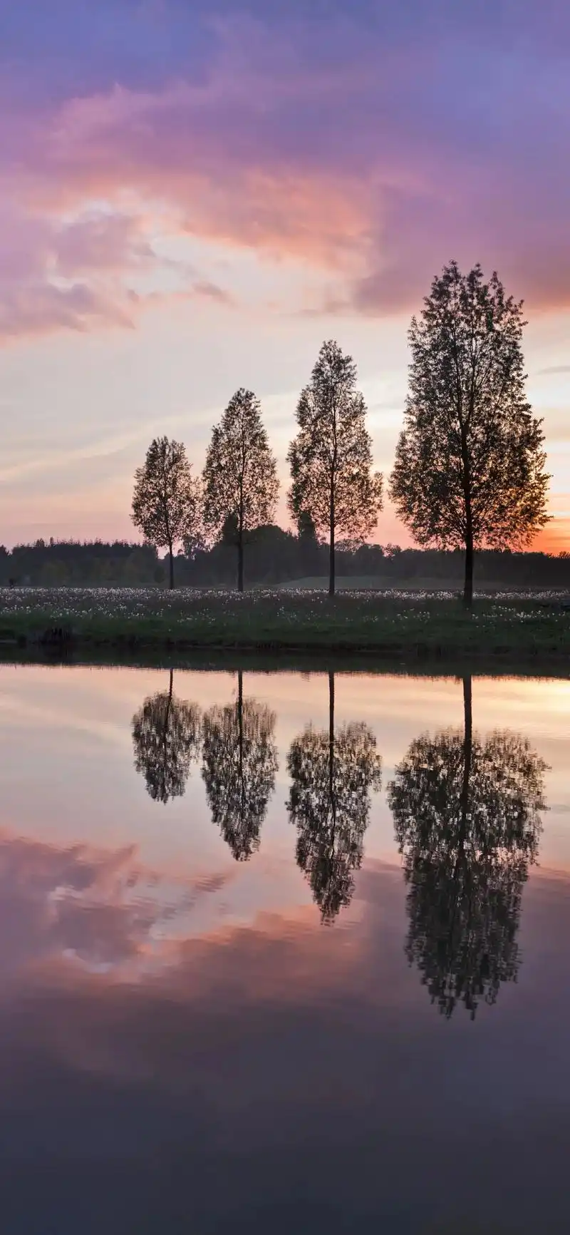 壁纸手机超清全面屏 #风景 - 抖音