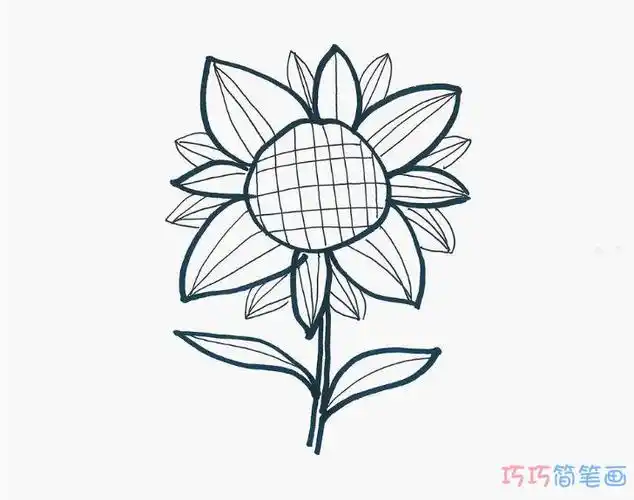 简单的向日葵是怎么画