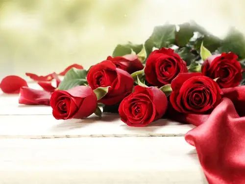 红色玫瑰花,花束,浪漫 壁纸 - 1920x1440
