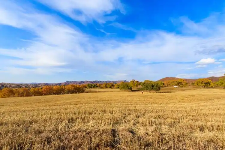 最美秋天乌兰布统草原