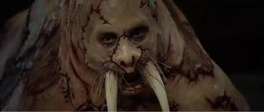 精 [电影推荐]海豹 人=?