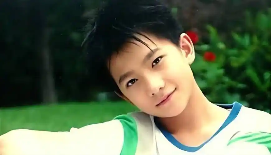 1997年,上小学的上海男孩杨洋,每天放学回家,看艺术类节目常常看呆