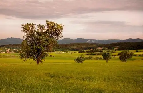 稻田风景摄影高清壁纸