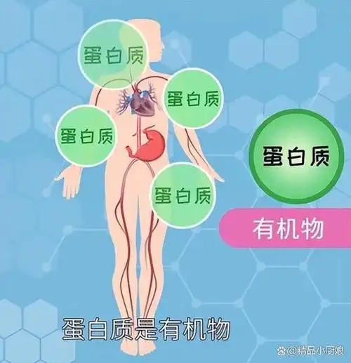 蛋白质对老年人营养高,建议老年人:这2种高蛋白食物该吃就吃