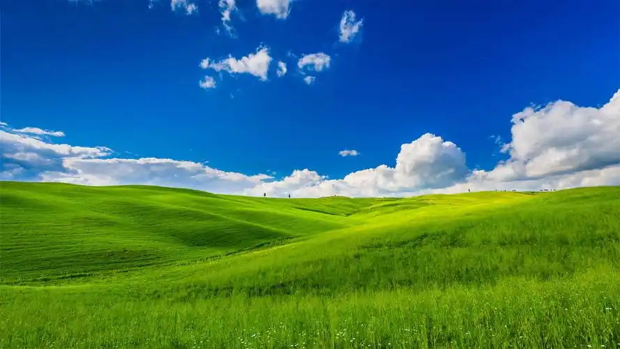 一望无际蓝天白云草原壁纸高清大图预览1920x1080_风景壁纸下载_美桌