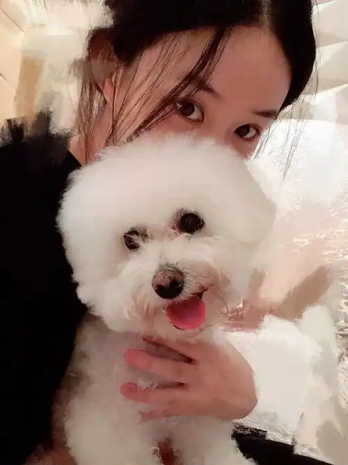 赵丽颖素颜自拍高清原图查看