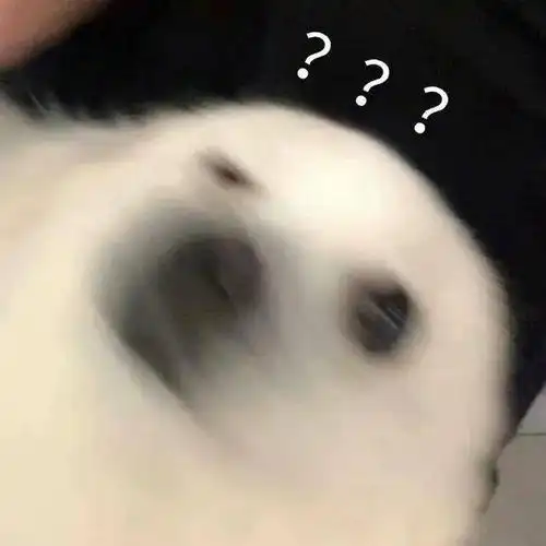 一组沙雕问号表情包