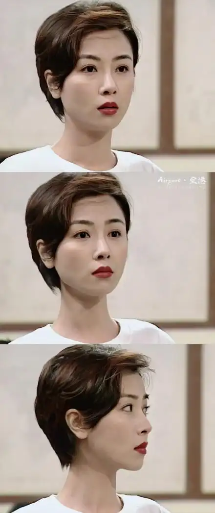 年轻时的袁洁莹五官精致无瑕疵轻盈跳脱灵气逼人攻气十足