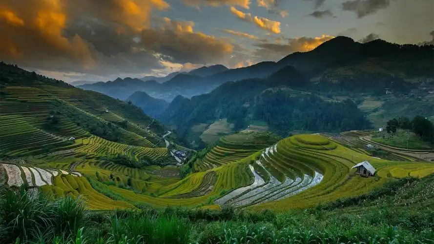 岁月流转,依心情缘(深度好句)