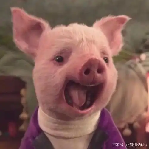 2020年最新搞笑逗比微信头像,总有你喜欢的