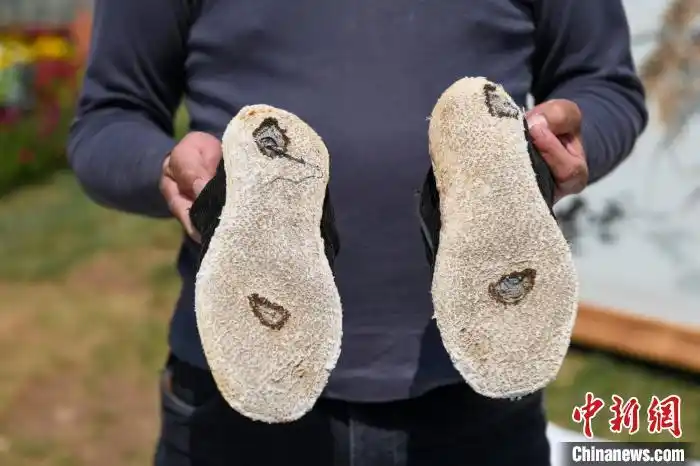 袁隆平院士穿的布鞋破洞了也舍不得扔. 杨华峰 摄