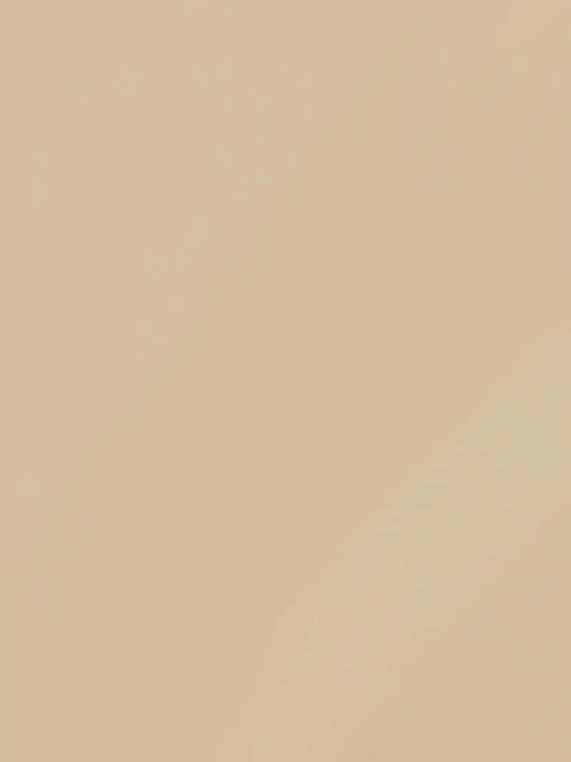 棕黄色系纯色壁纸