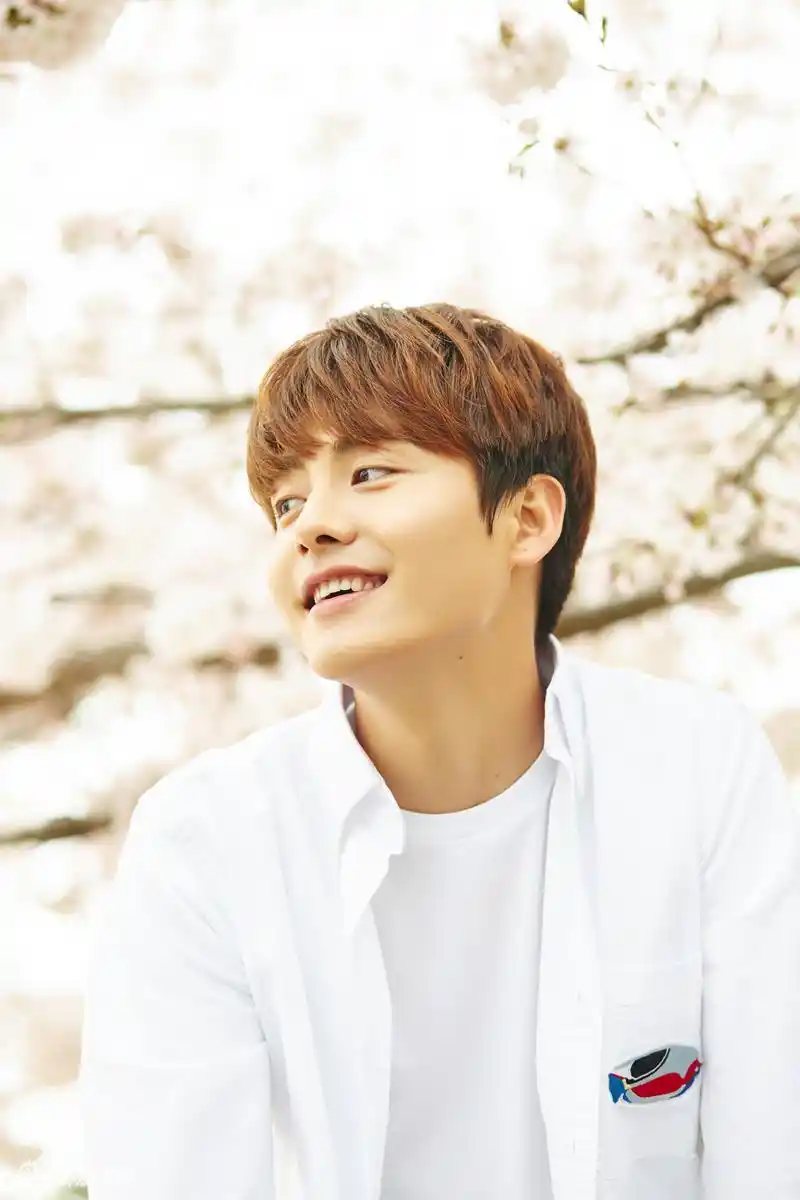 组图白衬衫小王子马天宇樱花大片清新又温暖