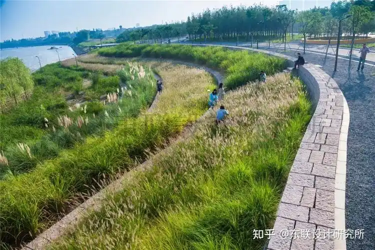 东大景观考研小讲堂21 | 水生态设计策略——湿地景观设计解读与设计
