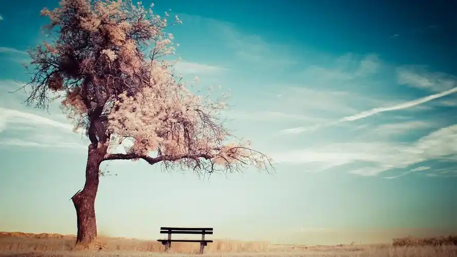 唯美孤独伤感桌面壁纸高清大图预览1920x1080_风景壁纸下载_美桌网