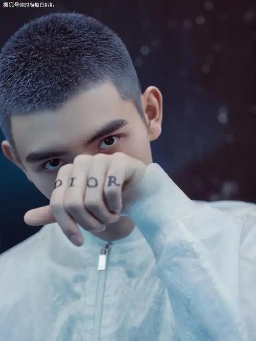 20年前嫦娥儿子都变成大帅哥了,陈飞宇奶奶灰短寸发型,超二次元_陈凯