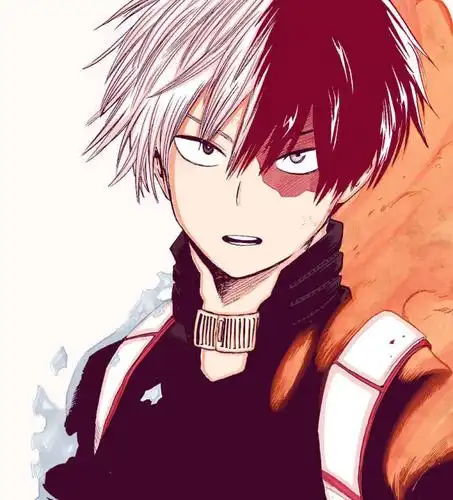 我的英雄学院 轰焦冻 轰总