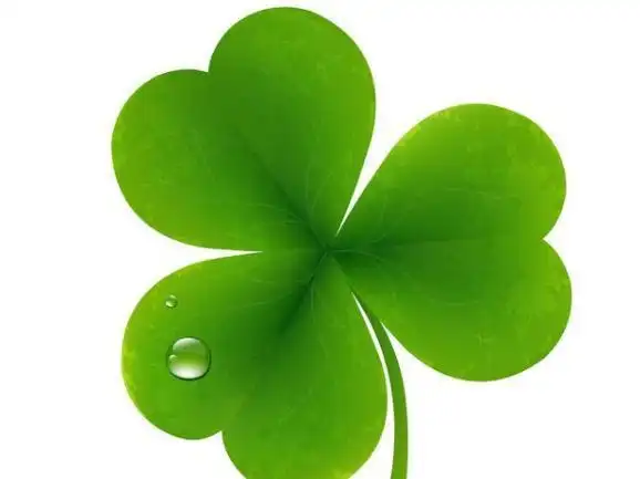 心理测试这四种幸运草哪个能给你带来好运