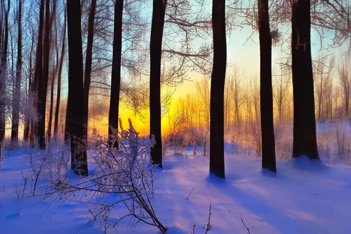 冬日暖阳.#原创摄影 #唯美意境 #分享美景 #每一帧都是热 - 抖音