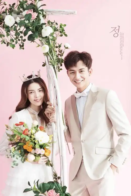 情侣结婚照/补婚纱照/简约婚纱照