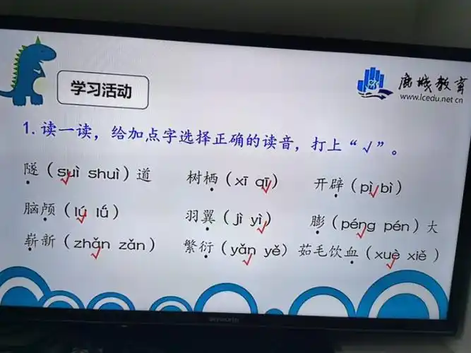 完成练习,检测学习效果,校对,自己读一读,说说不理解的词,一起来解决