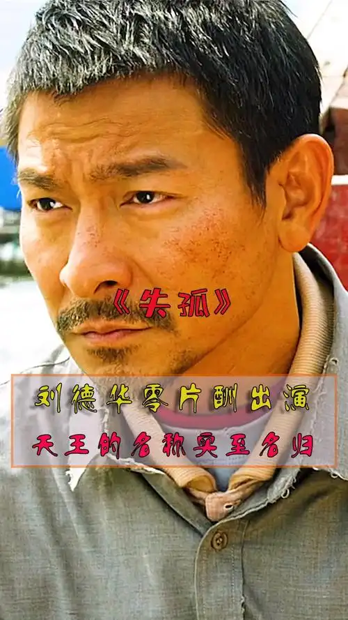 失孤刘德华零片酬出演原型寻子成功