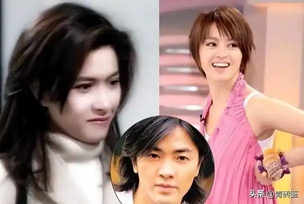 蒙嘉慧,彻底没救了|模特|郑伊健|刘青云|娱乐圈|邵美琪|任达华|演艺