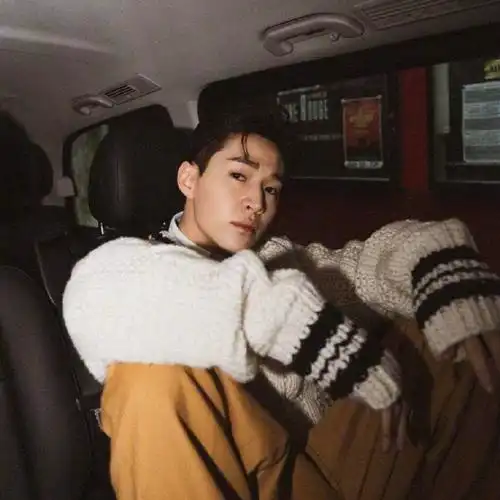 头像|刘宪华头像