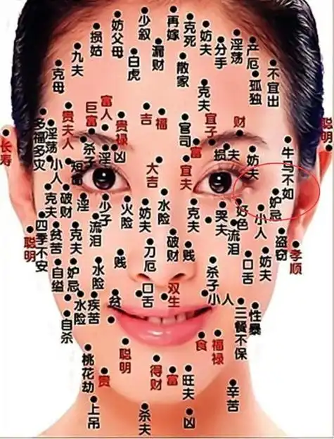 痣的位置与命运图解女人女人哪些痣是福痣