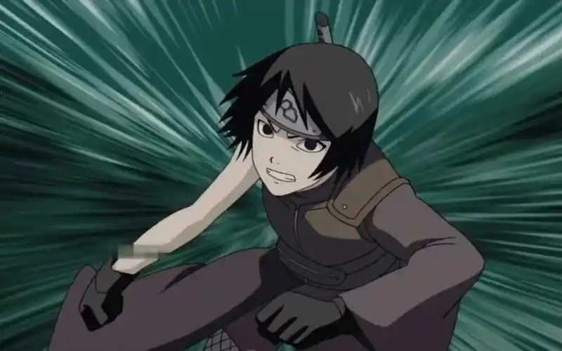 腿影黑土研发的三个忍术