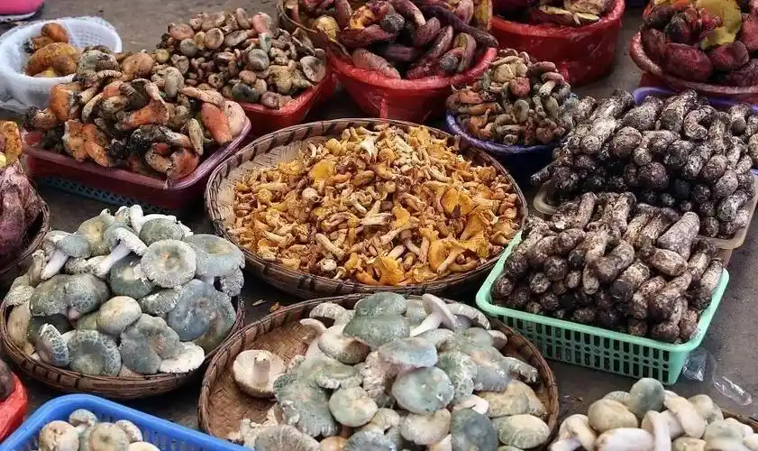 谁都野不过云南菜市场