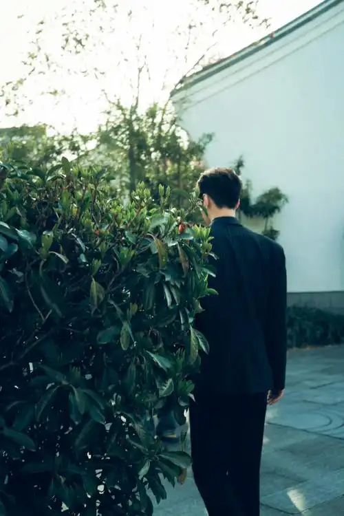 张艺兴西服背影照##张艺兴西服背影杀