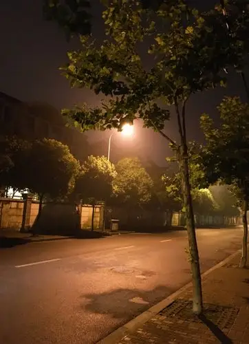 一个夏天的夜晚