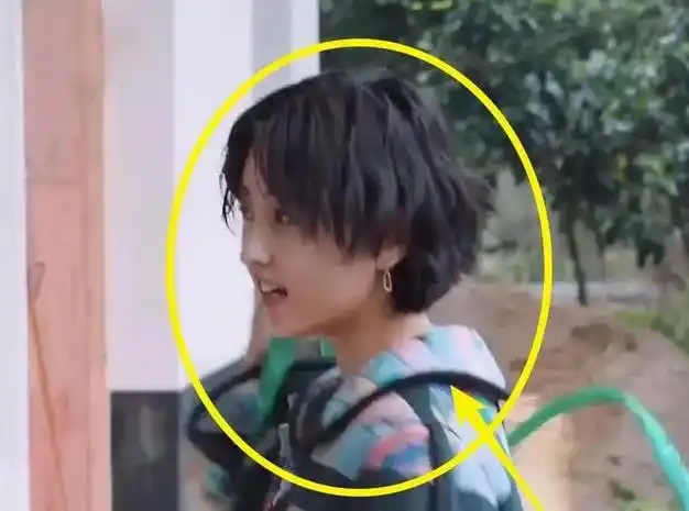 规则引热议,黄磊爬窗不算啥,张艺兴"撒谎"才厉害了|何炅|乐器|张子枫