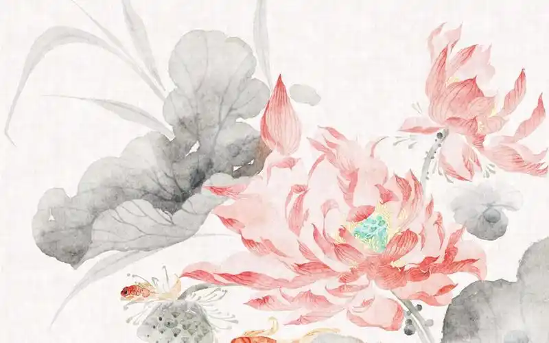 ipad古风花卉 | 荷花绘画过程