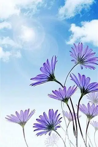 要怎么写好讨论部分?