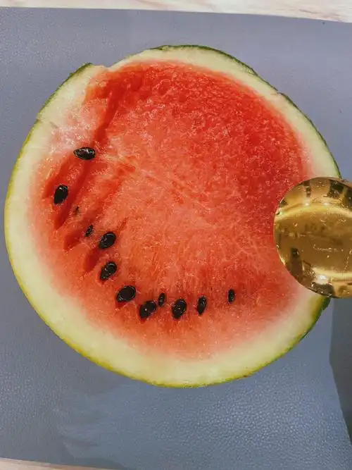 张馨予自己种的瓜熟了#张馨予之前种的瓜熟了,这看起来好甜啊!