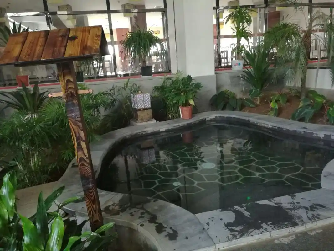 2020汤泉宫温泉度假村玩乐攻略,景色不能说惊艳但也算精致了.