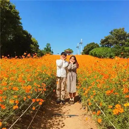 七夕情侣图片大全好看秀恩爱